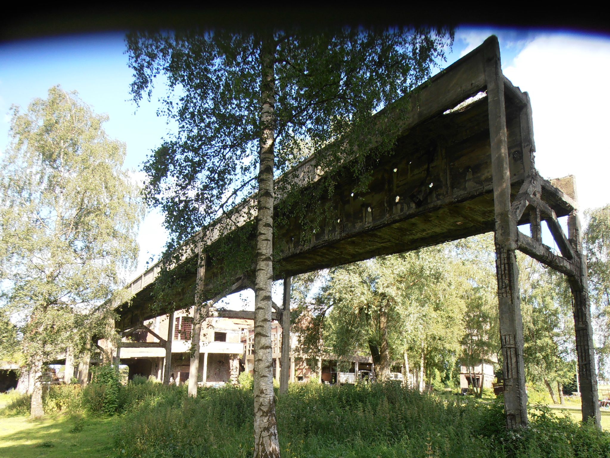 Marcasse - Passerelle - 20120702_40