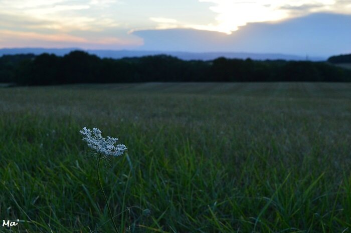 170717_soir_campagne