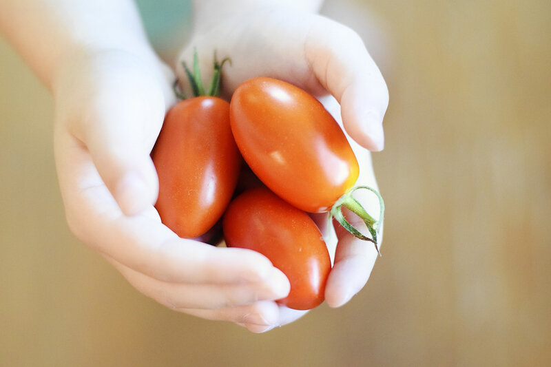 cherry-tomatoes-2613157_1920