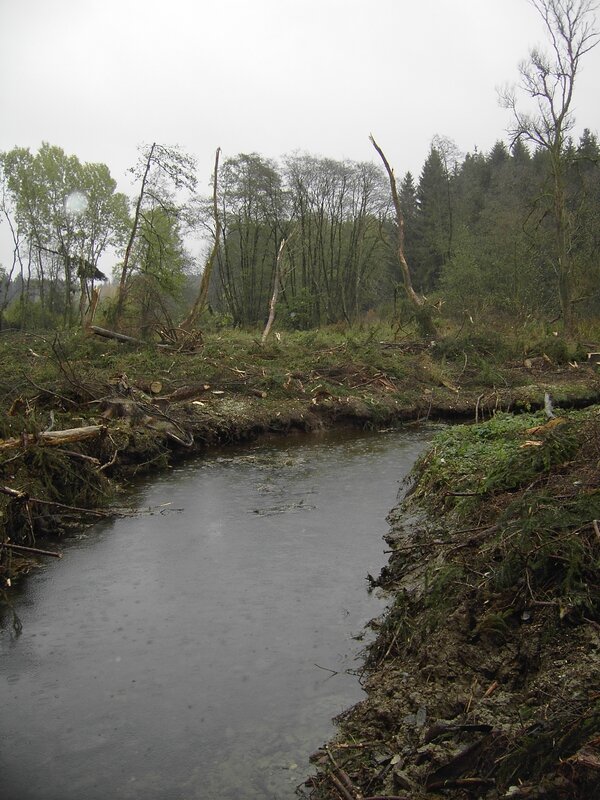 chargement de bois Glain 15