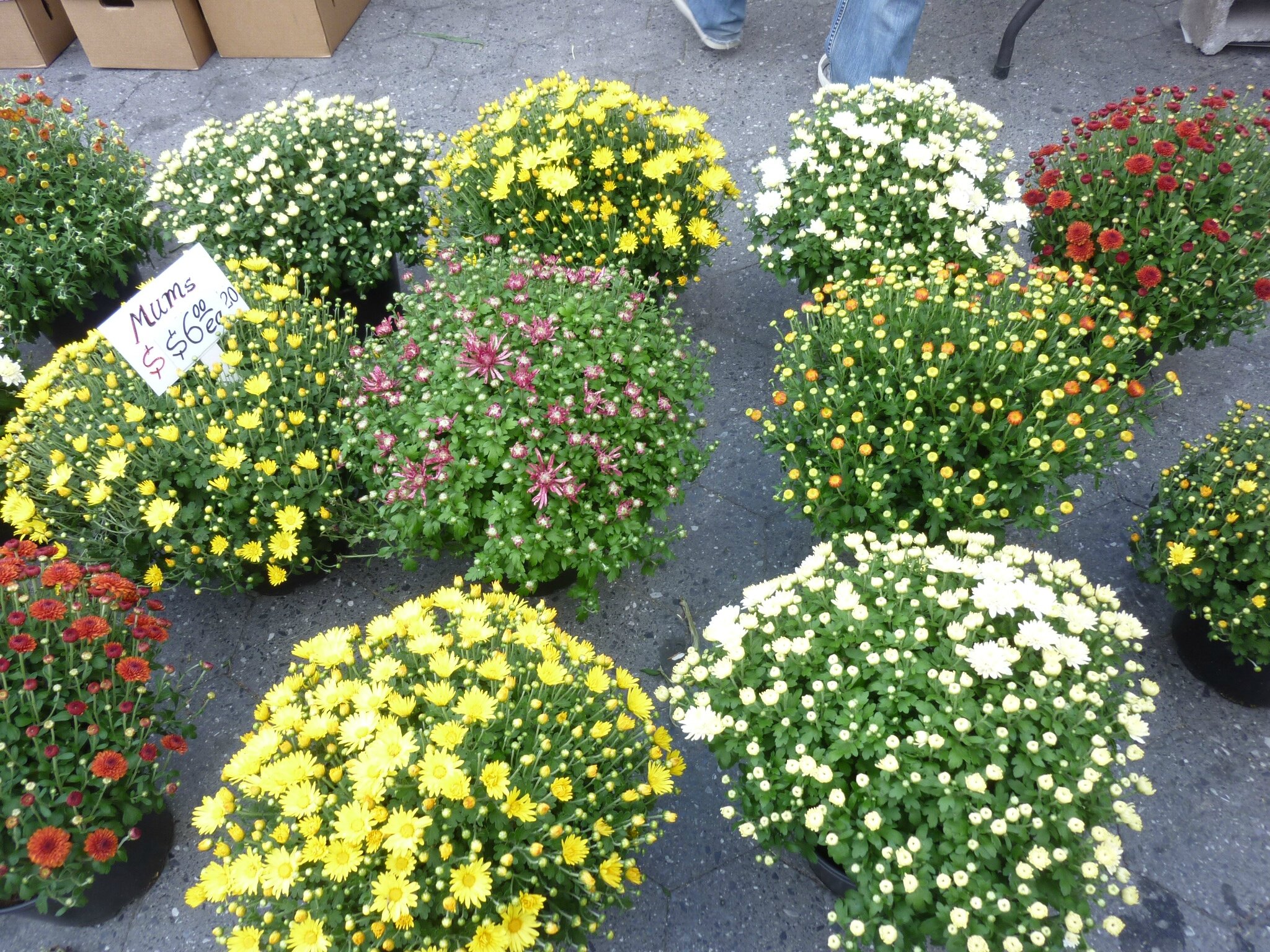 Union Square Market NYC