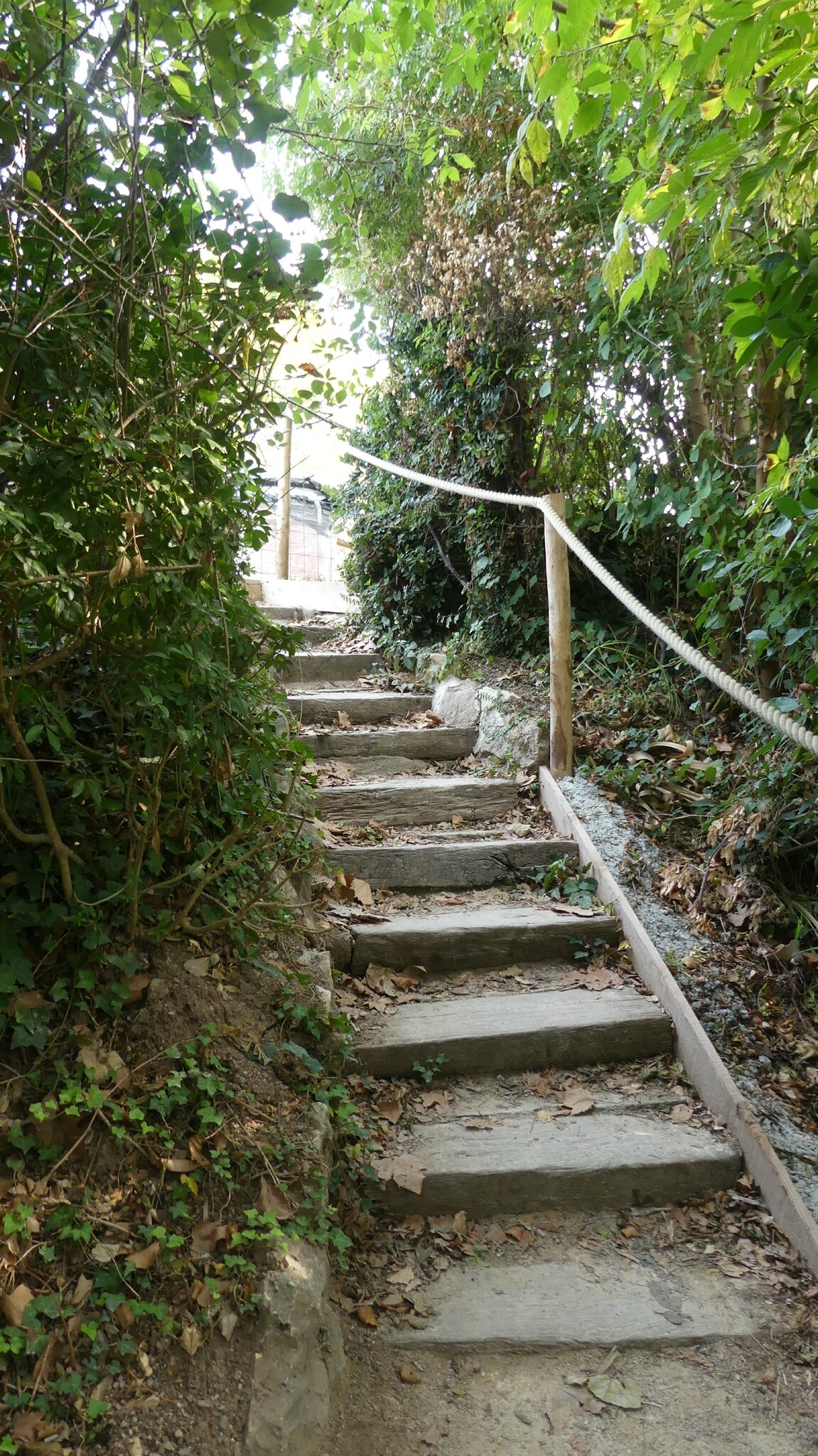 P1070339