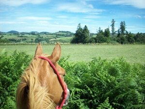 Aller au bout du monde à cheval