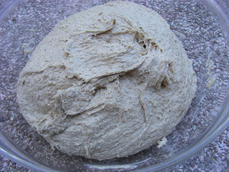 risen_rye_dough