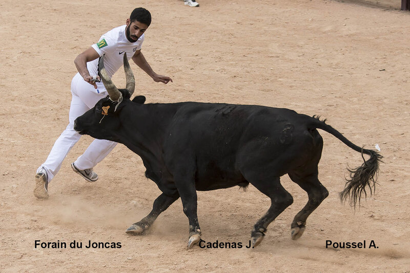 Istres 13