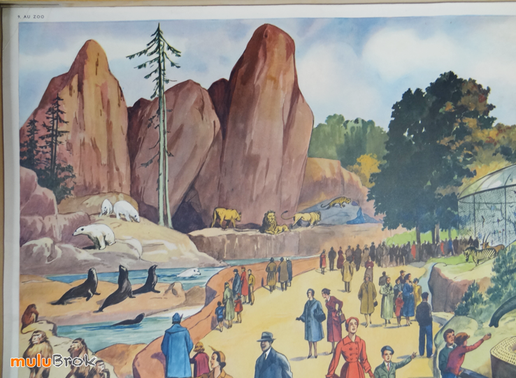Affiche-LE-STADE-AU-ZOO-9-muluBrok