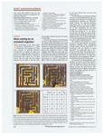 maze_solving_amoeboid_organism_nakagaki