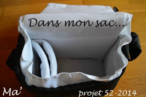 52-2014_S22_dans_mon_sac