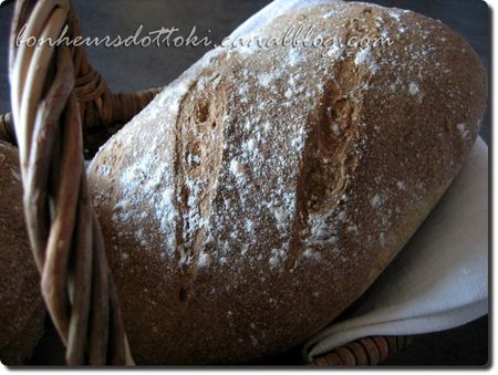 recettes legumes Petits pains aux graines au levain + levure
