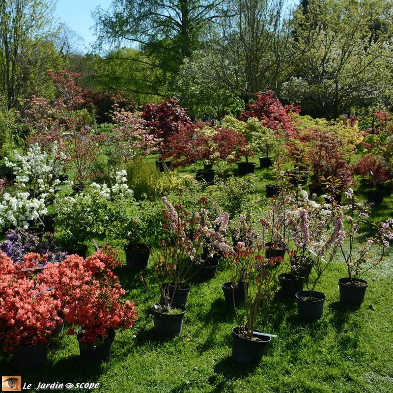 Parc-Floral-15