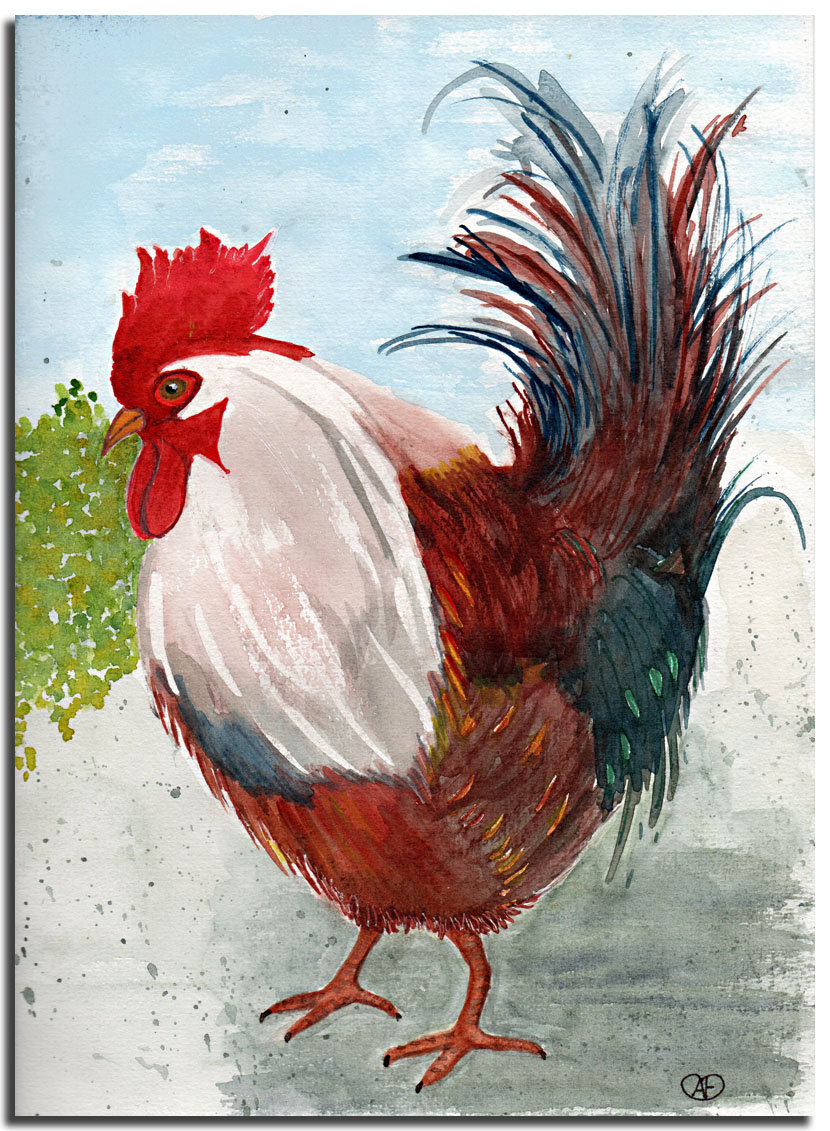 Coq copie