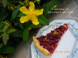 tarte_framboises_groseilles_2_8