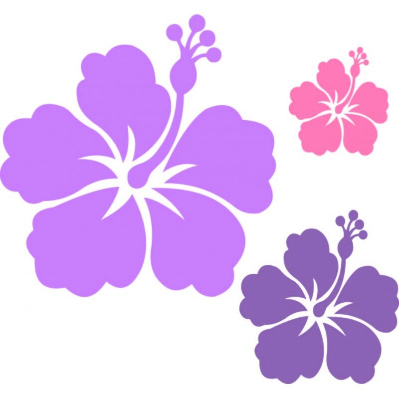 stickers-fleurs-hibiscus-kit-de-3-fleurs-