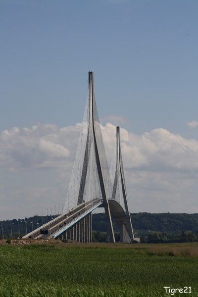 Le_havre__pont_de_Normandie__40__border