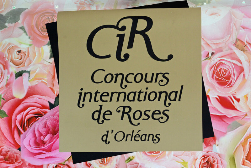 Concours-International-de-Roses-d'orléans