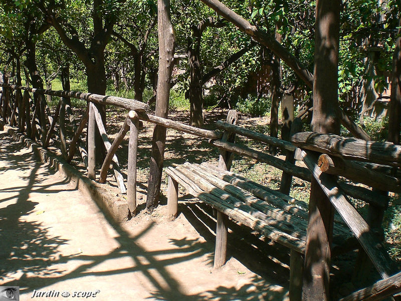 Banc au Giardino de Limoni ed arance a Sorrento (Italie)