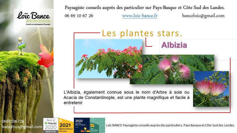 Paysagiste-Pays-Basque-Paysagiste-Landes-Albizia