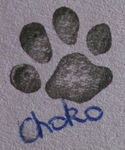 Signature_Choko