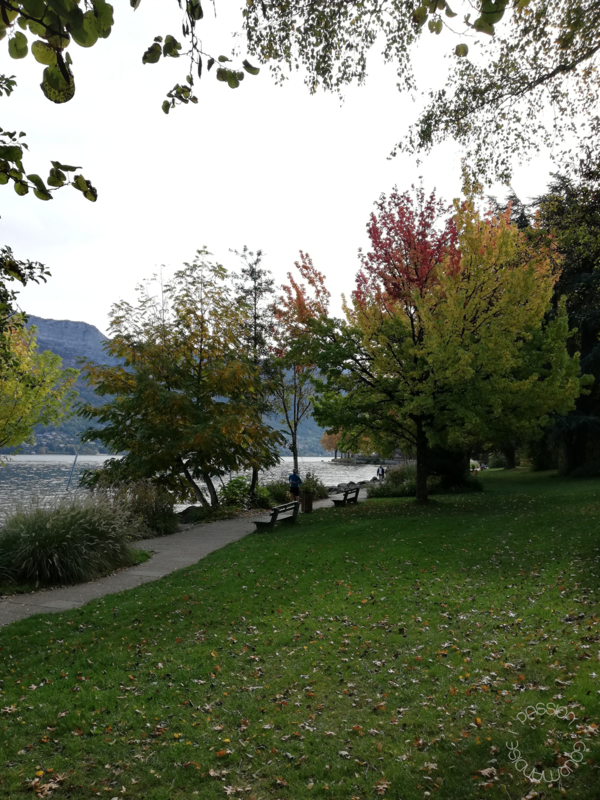 Annecy 2020_15