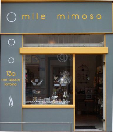 mle mimosa