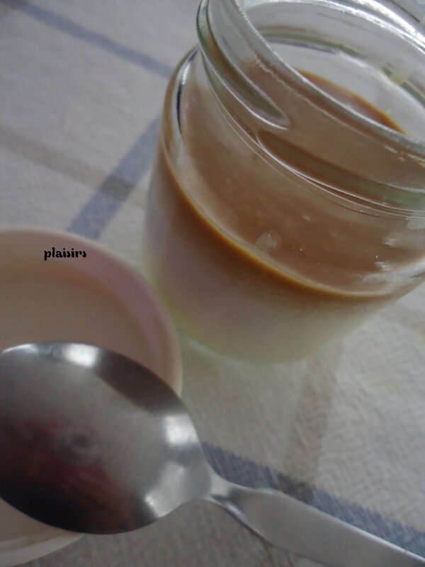 yaourt coco (1)