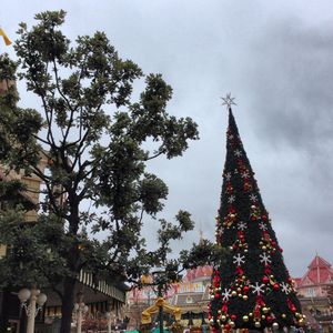 Sapin_sur_Main_Street