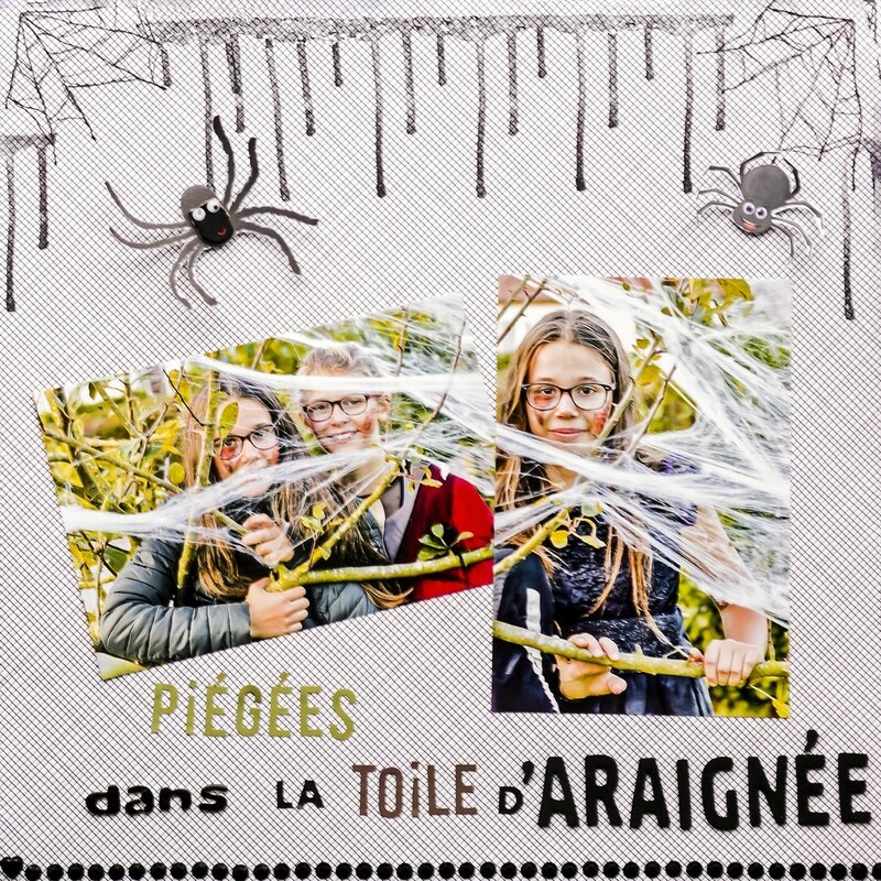 araignées