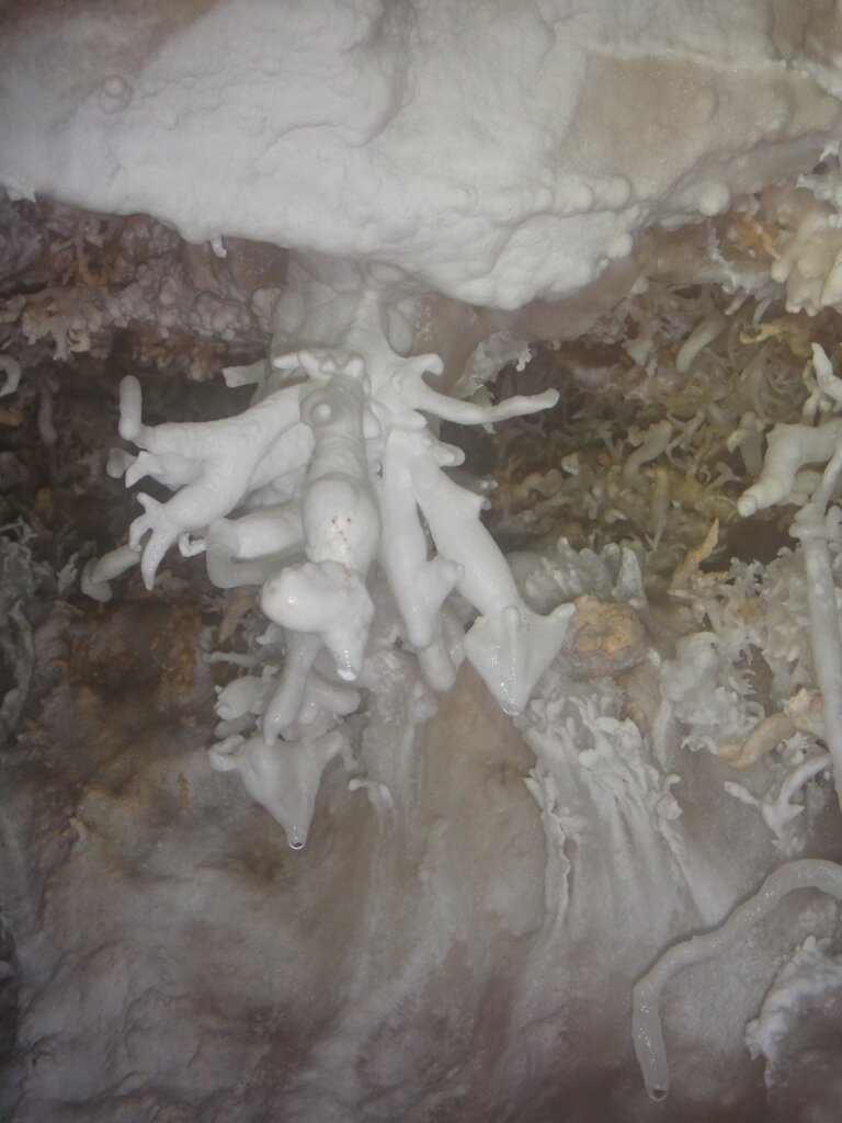 DSC01655