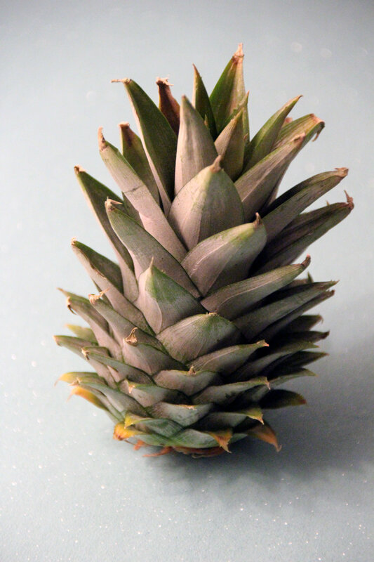 ananas_feuilles