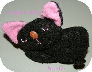 petitchat02