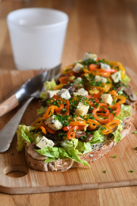 Maxi tartine_2