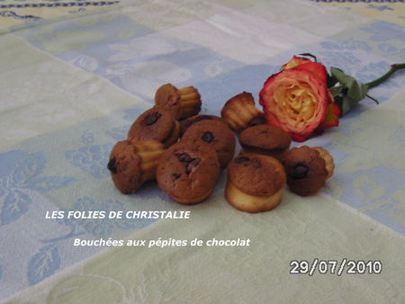 Bouch_es_aux_p_pites_de_chocolat__2