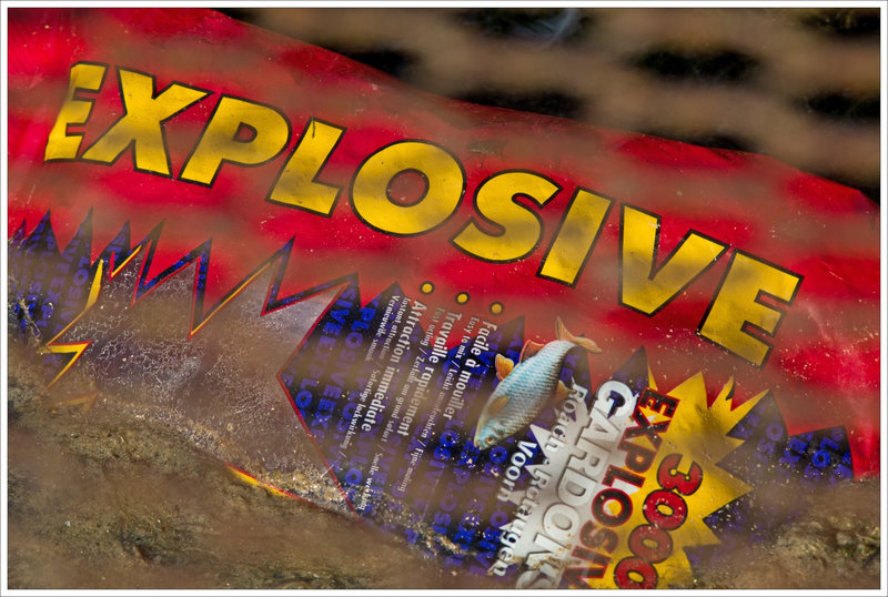 ville poche explosive poisson 092016