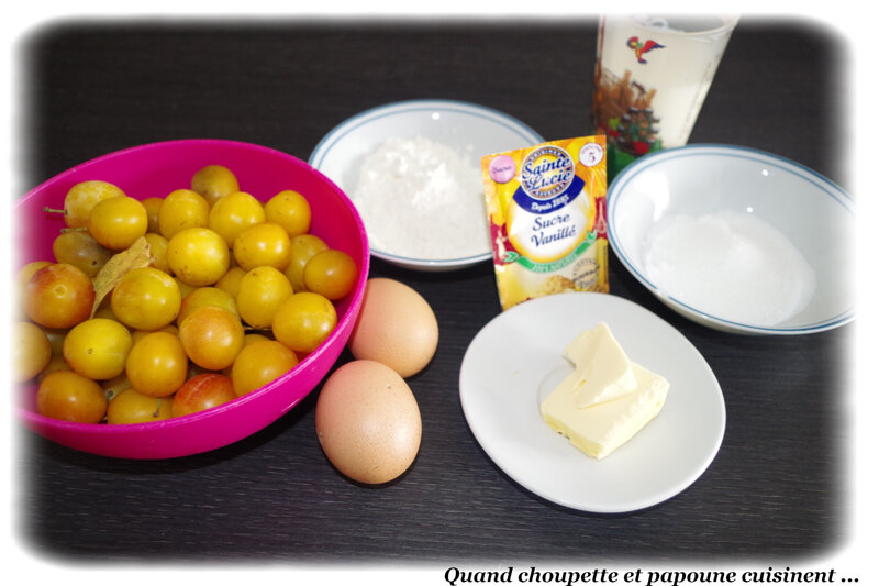 clafoutis aux mirabelles-4091