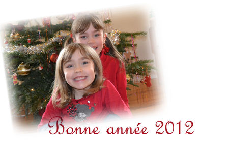 bonne_ann_e_2012
