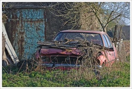 vieille_voiture_cabane