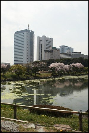 297_Shiodome_Garden_2