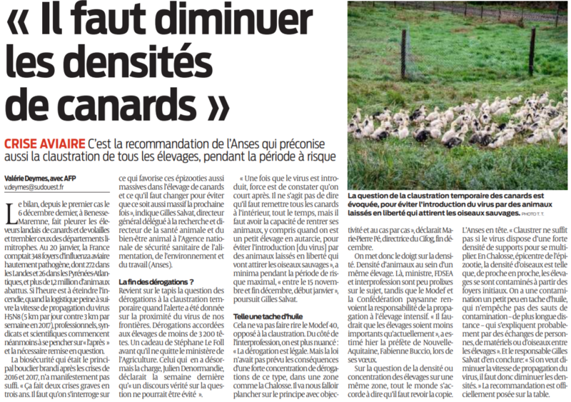 2021 01 22 SO Il faut diminuer les densités de canards
