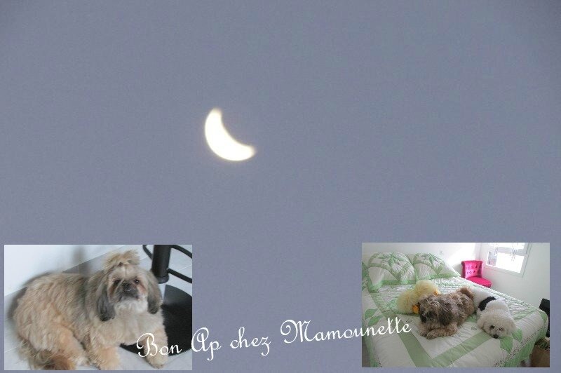 Isis Handy dans l'appart et la lune
