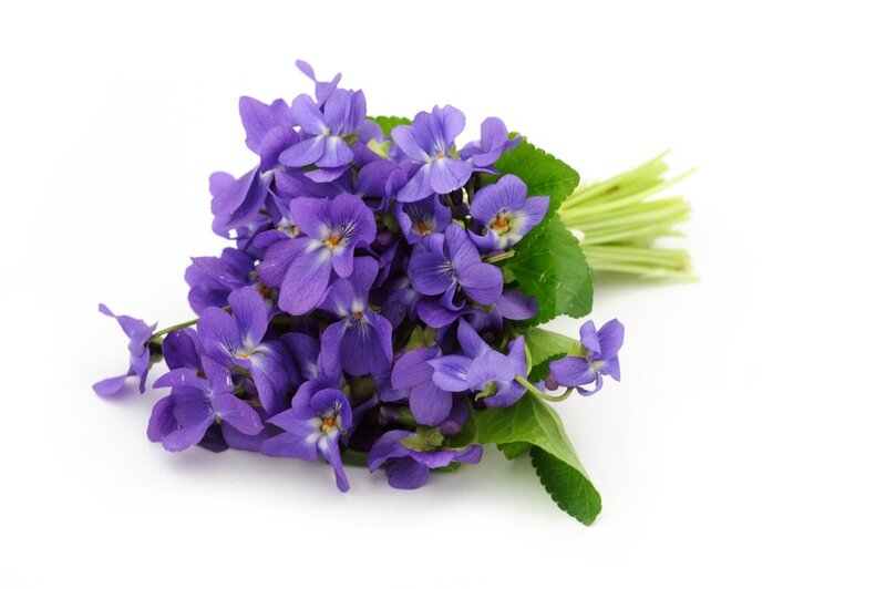 b n amour bouquet d violettes (1