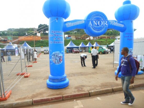 anor_3842373-L
