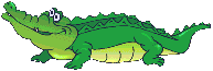 crocodile_010