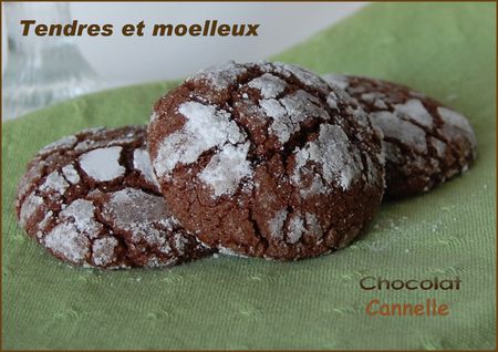 BISCUITS_CHOCO_CANNELLE