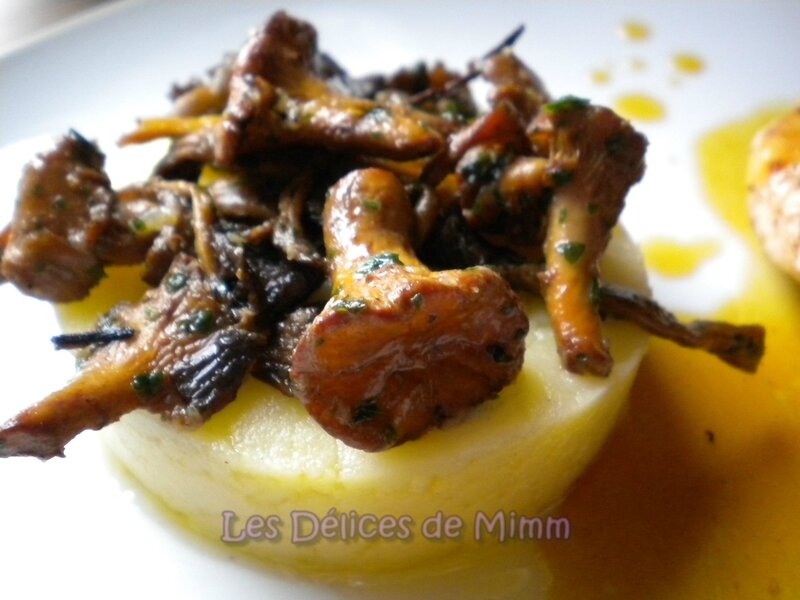 Filet de dinde aux clémentines et fricassée de champignons des bois 5