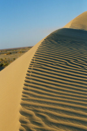 mauritanie_081