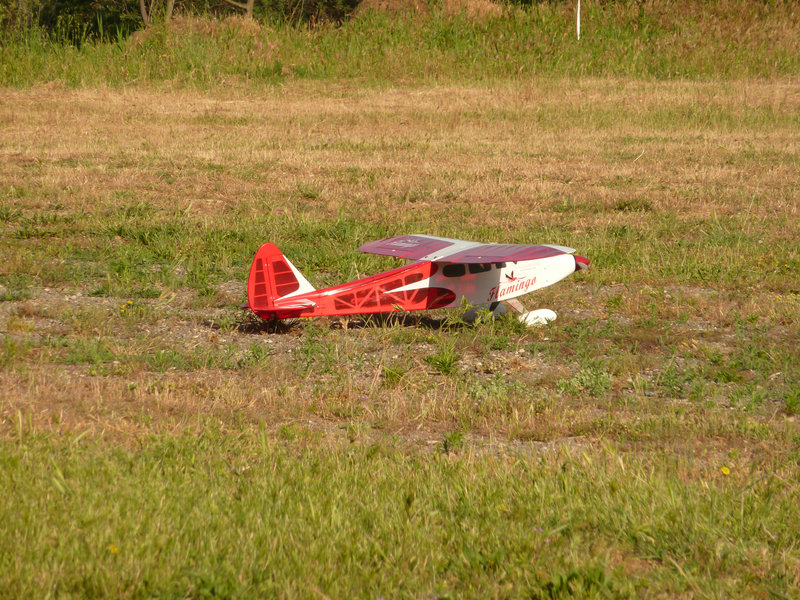 P1110027