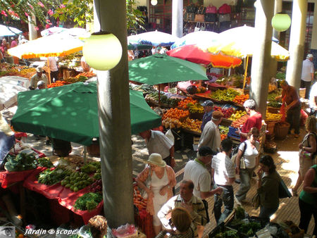 9045_Mercado_dos_Lavradores