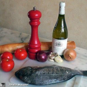 Daurade-au-vin-blanc