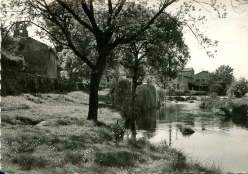 Trans en Provence-Les bords de la Nartuby 1