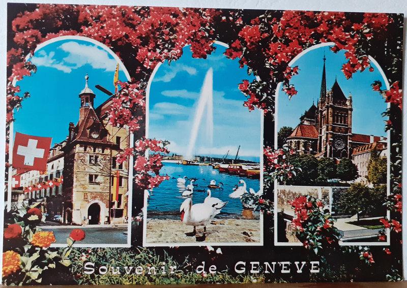 Genève 3010 - vierge